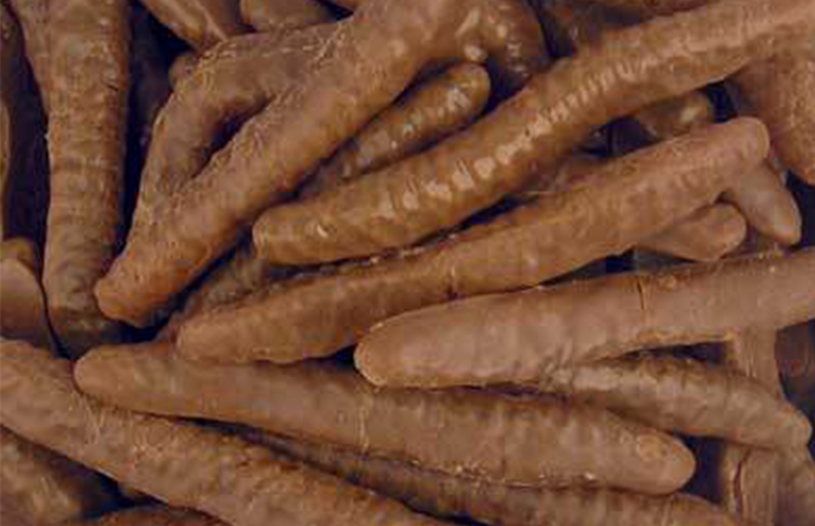 Chocolate Covered Gummy Worms from Celebrate National Gummy Worm Day